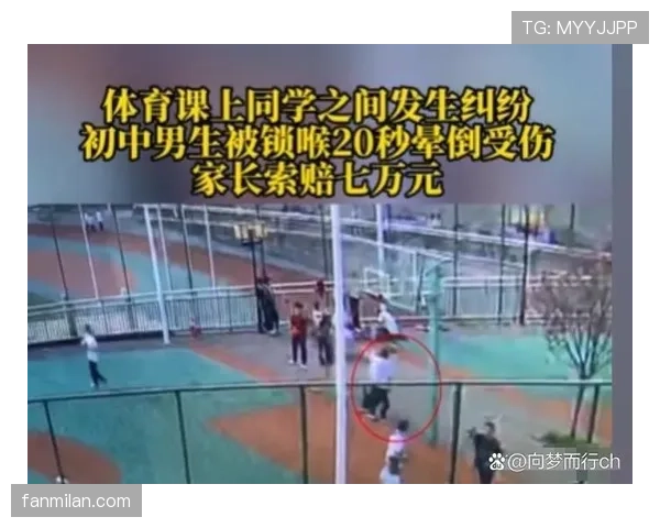 非体育行为判罚标准到底有哪些细节和争议？